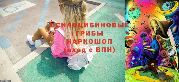 дживик Алексин