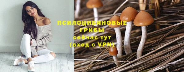 apvp Алексеевка
