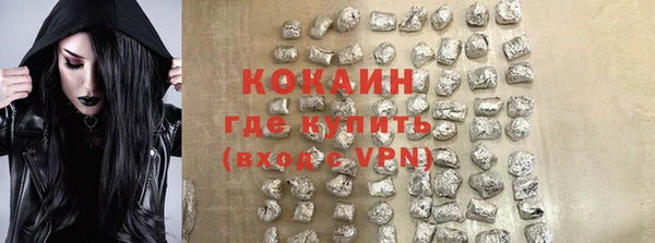 дживик Алексин