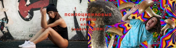 дживик Алексин