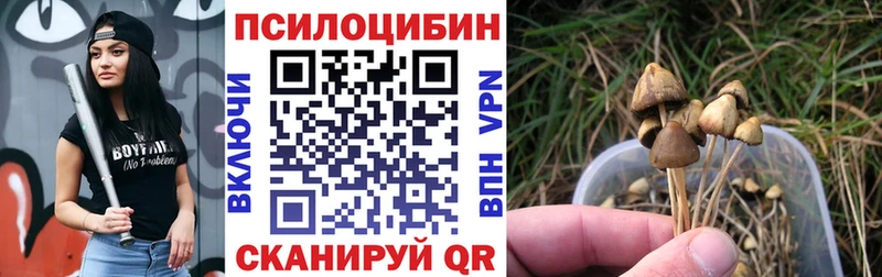 MEGA ССЫЛКА  Беломорск  Галлюциногенные грибы прущие грибы 